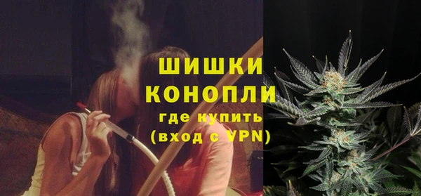 дживик Няндома