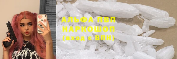 ПСИЛОЦИБИНОВЫЕ ГРИБЫ Пестово