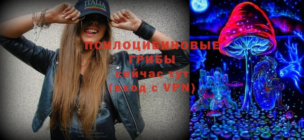 ПСИЛОЦИБИНОВЫЕ ГРИБЫ Пестово