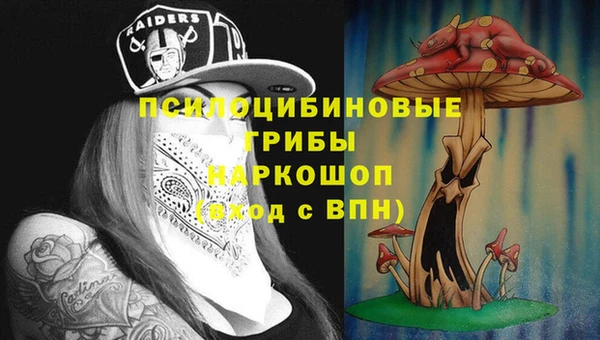 apvp Переславль-Залесский
