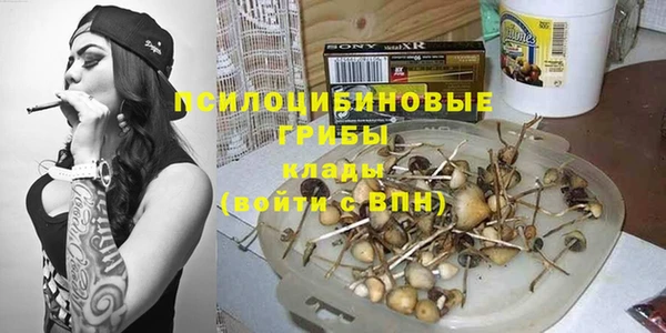 apvp Переславль-Залесский