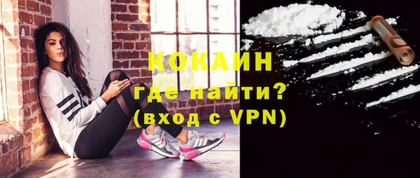 ПСИЛОЦИБИНОВЫЕ ГРИБЫ Пестово