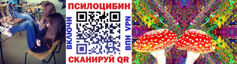 Галлюциногенные грибы Magic Shrooms закладка Карпинск
