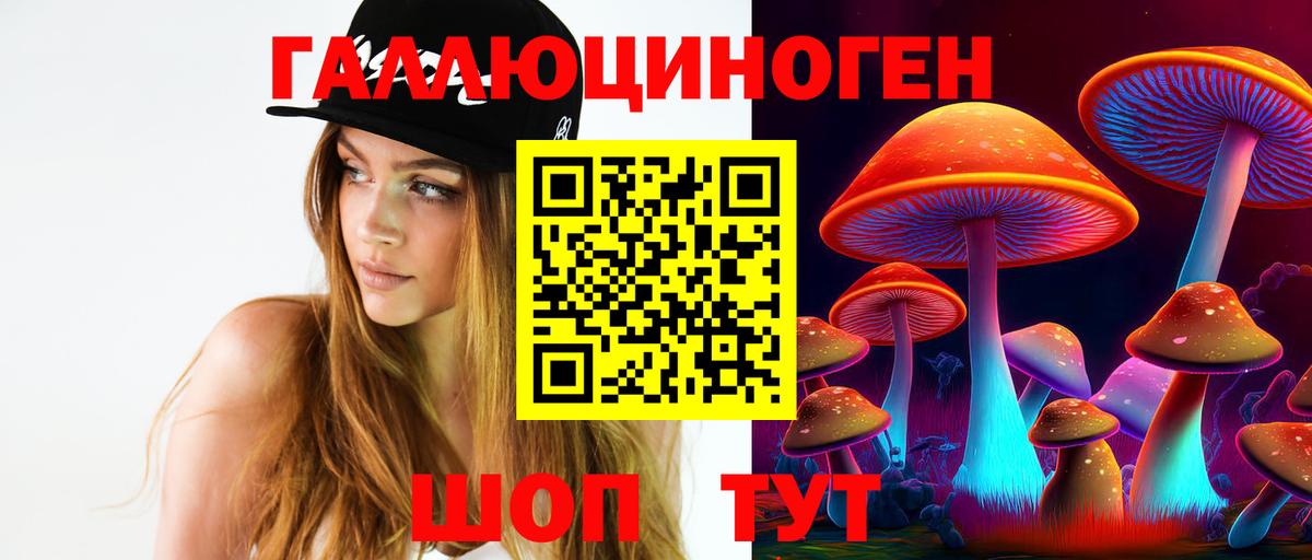 Галлюциногенные грибы Cubensis Карпинск