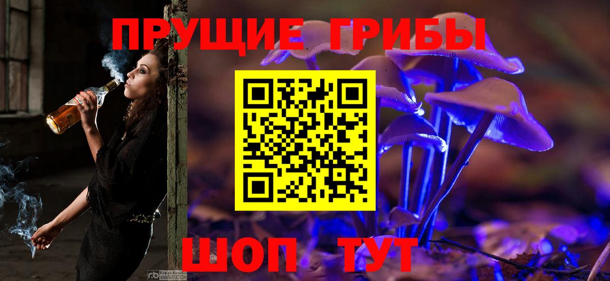 Карпинск  Псилоцибиновые грибы MAGIC MUSHROOMS  Вход с VPN 